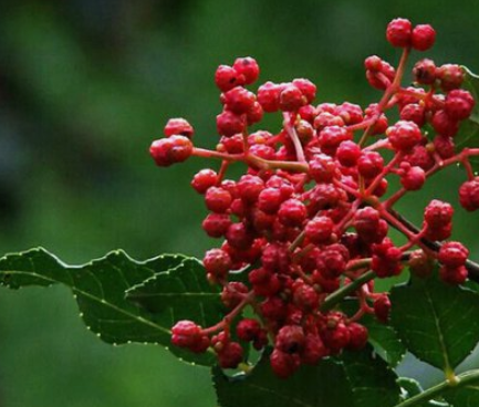 ��ƶ������̬����124�ڣ�