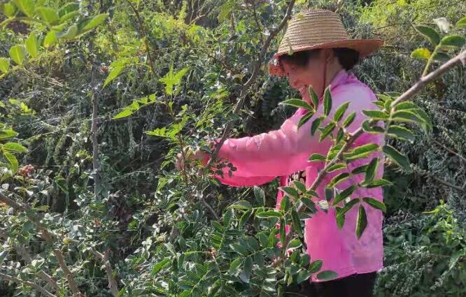 ��ƶ������̬����128�ڣ�