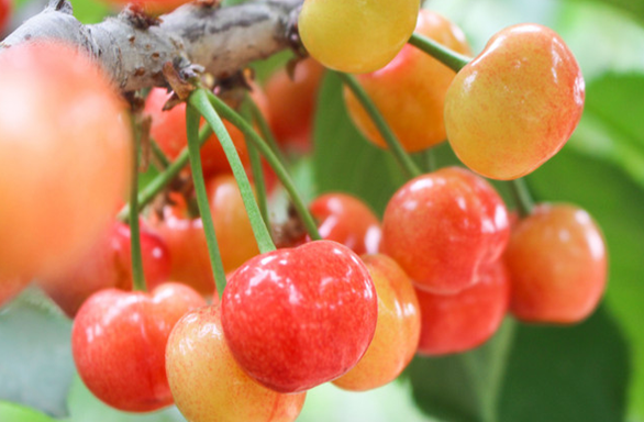 �������˹�����̬����134�ڣ�