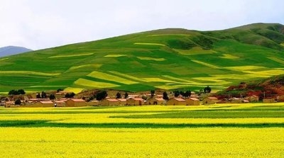 �ƶ�ũҵ���侭�ð�������