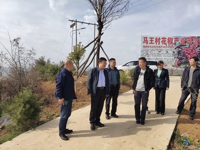 ��ǿ��ѧ���� ������������