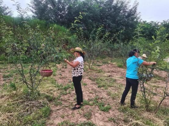 ��ƶ������̬����125�ڣ�