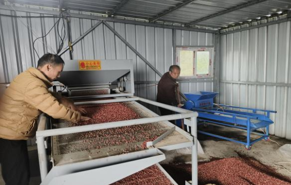 �������˹�����̬����173�ڣ�