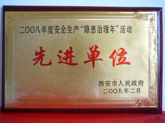 2009��2���������������񵱾���Ϊ2008��Ȱ�ȫ���������������ꡱ��Ƚ���Ԫ