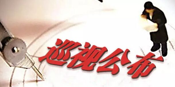 �й�������ҵ�ʲ���Ӫ��˾��ί����Ѳ����������Ĵ���