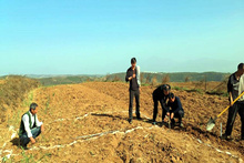 ��ƶ������̬���ڰ�ʮ���ڣ�