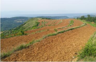 ��ƶ������̬���ڰ�ʮ���ڣ�