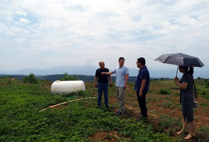 ��ƶ������̬���ھ�ʮ�ڣ�