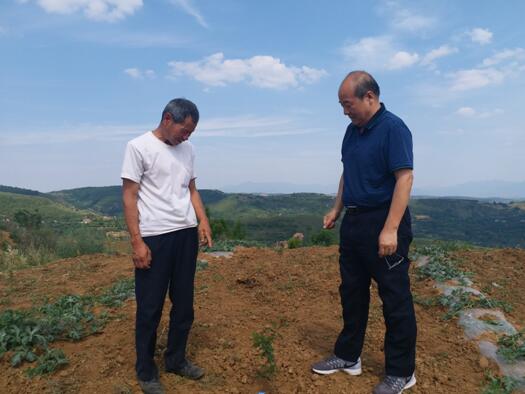 ��ƶ������̬���ھ�ʮһ�ڣ�