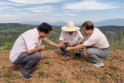 ��ƶ������̬���ھ�ʮ���ڣ�