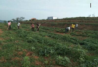 ��ƶ������̬���ھ�ʮ���ڣ�