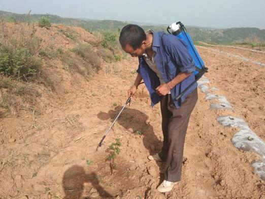 ��ҵ��׼��ƶ �������徭��