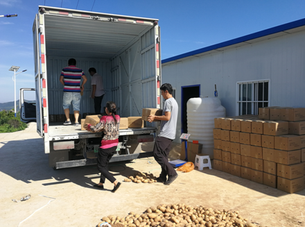 ��ƶ������̬����113�ڣ�